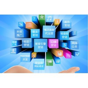 网站建设与运营 从着陆页设计到持续发展