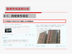 2010年微博营销案例分析 红人营销与网站运营的协同探索